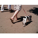 FOTO FATTE CON QUESTO TELEFONO