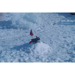 PICTURES FROM THIS PHONE