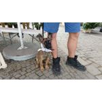 FOTO'S VAN DEZE TELEFOON