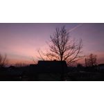 FOTO'S VAN DEZE TELEFOON