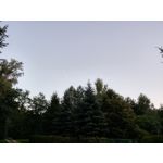 用户照片 HTC U12+ Dual SIM