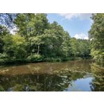 用户照片 HTC U12+ Dual SIM