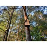 用户照片 HTC U12+ Dual SIM