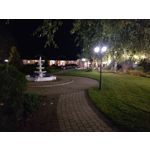 來自這款手機的圖片