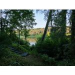 來自這款手機的圖片