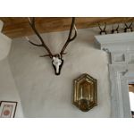 用户照片 HTC U12+ Dual SIM