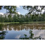 用户照片 HTC U12+ Dual SIM