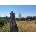 用户照片 HTC U12+ Dual SIM