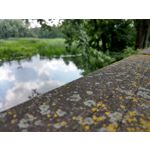 用户照片 HTC U12+ Dual SIM