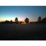 用户照片 HTC U12+ Dual SIM