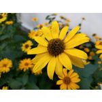 用户照片 HTC U12+ Dual SIM