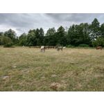 用户照片 HTC U12+ Dual SIM