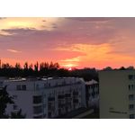 來自這款手機的圖片