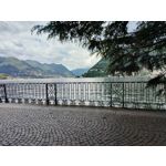 來自這款手機的圖片