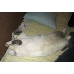 来自这款手机的图片