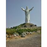 来自这款手机的图片