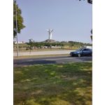 来自这款手机的图片