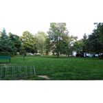 PICTURES FROM THIS PHONE