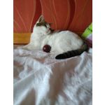 PICTURES FROM THIS PHONE