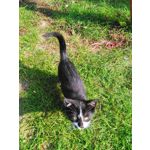 PICTURES FROM THIS PHONE