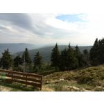 LAS FOTOS HECHAS CON ESTE TELÉFONO