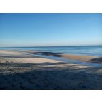 PICTURES FROM THIS PHONE