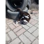 PICTURES FROM THIS PHONE