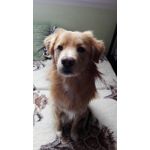 來自這款手機的圖片