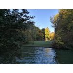 Фотографии пользователя Huawei Mate 10 Pro Фотографии пользователя Huawei Mate 10 Pro