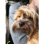 Фотографии пользователя Huawei Mate 10 Pro Фотографии пользователя Huawei Mate 10 Pro