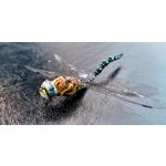 Фотографии пользователя Huawei Mate 10 Pro Фотографии пользователя Huawei Mate 10 Pro