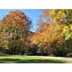 Фотографии пользователя Huawei Mate 10 Pro Фотографии пользователя Huawei Mate 10 Pro