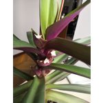 Фотографии пользователя Huawei Mate 10 Pro Фотографии пользователя Huawei Mate 10 Pro