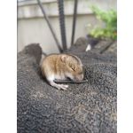 FOTO FATTE CON QUESTO TELEFONO