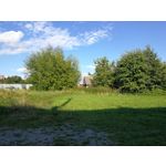 PHOTOS FAITES AVEC CE SMARTPHONE