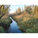 PHOTOS FAITES AVEC CE SMARTPHONE