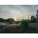 PICTURES FROM THIS PHONE