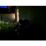 Фотографии пользователя Huawei Nova 10 Pro