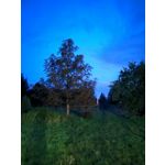 Фотографии пользователя Huawei Nova 10 Pro