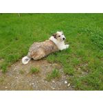 来自这款手机的图片