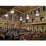 Imágenes de los usuarios Huawei Nova 3 Dual SIM