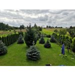 FOTOS AUS DIESEM HANDY