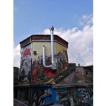 Foto dei utenti Huawei Nova Plus