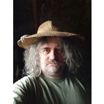 来自这款手机的图片