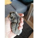 LAS FOTOS HECHAS CON ESTE TELÉFONO