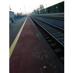 PICTURES FROM THIS PHONE