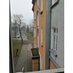 PICTURES FROM THIS PHONE