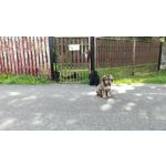 IMAGENS DESTE TELEFONE