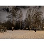 来自这款手机的图片