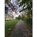 來自這款手機的圖片